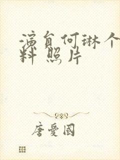 演员何琳个人资料 照片