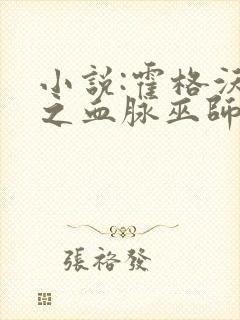 小说:霍格沃茨之血脉巫师封面