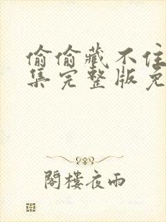 偷偷藏不住40集完整版免费观看下载