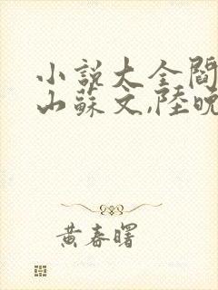 小说大全阎王下山苏文,陆晚风封面