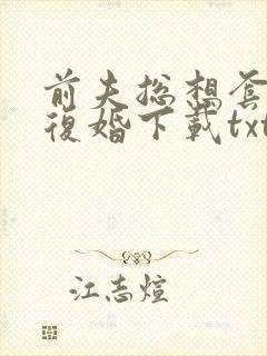 前夫总想套路我复婚下载txt