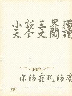 小说三界独尊犁天全文阅读免费