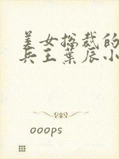 美女总裁的贴身兵王叶辰小说