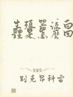 生殖器流白色液体是怎么回事