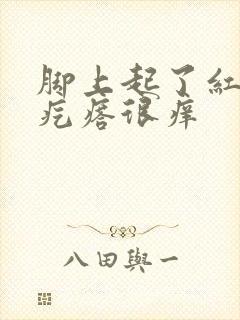 脚上起了红色的疙瘩很痒封面