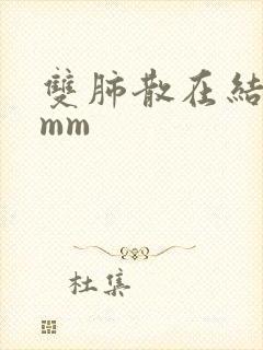 双肺散在结节4mm