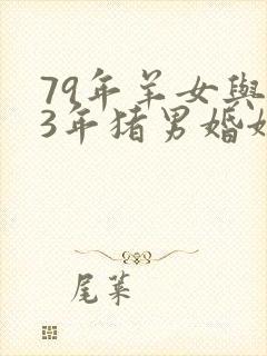 79年羊女与83年猪男婚姻封面