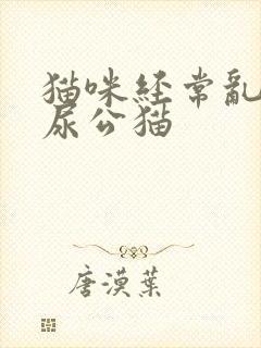 猫咪经常乱拉乱尿公猫