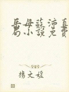 岳母苏沛真大结局小说免费阅读全文下载