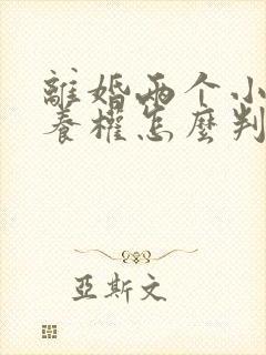 离婚两个小孩抚养权怎么判定