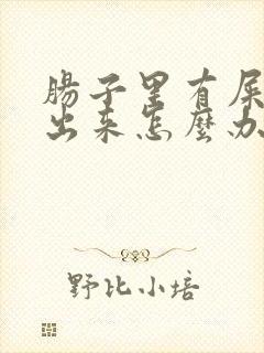 肠子里有屎拉不出来怎么办