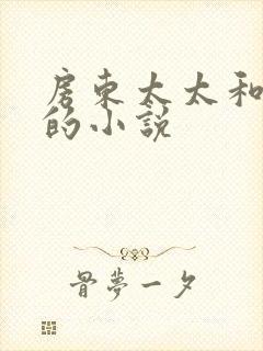 房东太太和阿宾的小说封面