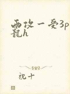 两攻一受3p双龙h