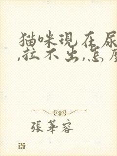 猫咪现在尿不出,拉不出,怎么办