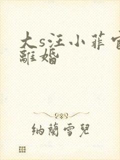 大s汪小菲官宣离婚