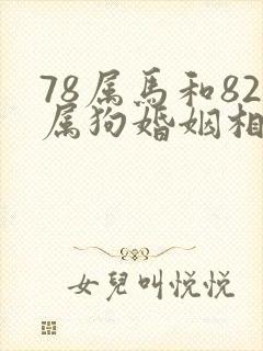 78属马和82属狗婚姻相配吗