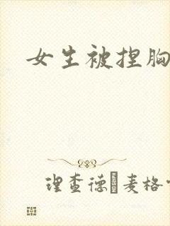 女生被捏胸视频