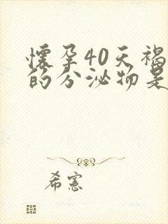 怀孕40天褐色的分泌物是怎么回事封面