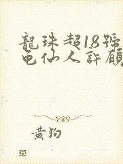 龙珠超18号被龟仙人许愿