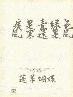 痰是青绿色的是风寒还是风热封面