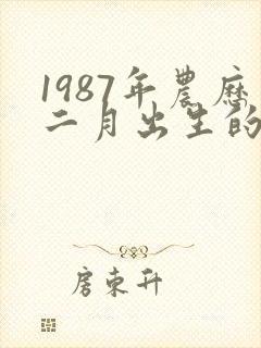 1987年农历二月出生的兔人命运如何