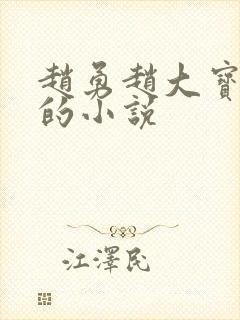 赵勇赵大宝苏媚的小说