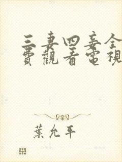 三妻四妾全集免费观看电视剧全集三