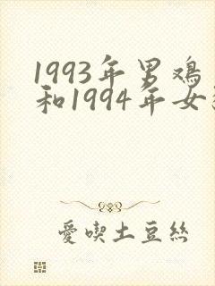 1993年男鸡和1994年女狗结婚好不封面