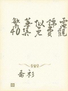 繁华似锦电视剧40集免费观看高清