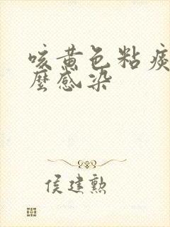 咳黄色粘痰是什么感染