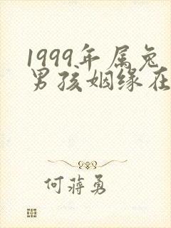 1999年属兔男孩姻缘在哪一年