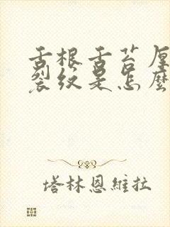 舌根舌苔厚白有裂纹是怎么回事封面