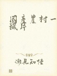 国产农村一级淫秽片