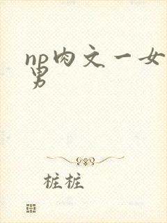 np肉文一女多男
