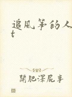 追风筝的人txt