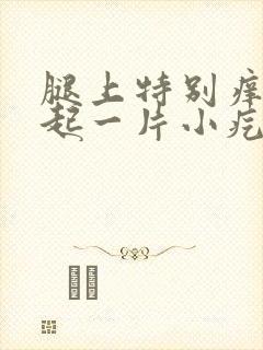 腿上特别痒一抓起一片小疙瘩