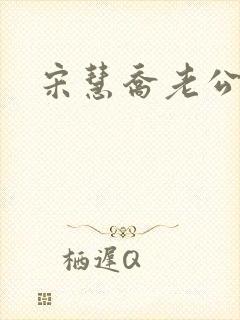 宋慧乔老公是谁