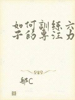 如何训练六岁孩子的专注力