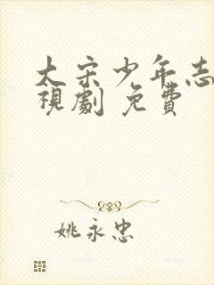 大宋少年志 电视剧 免费