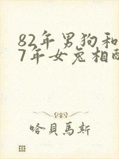 82年男狗和87年女兔相配婚姻如何