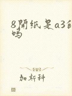 8开纸是a3的吗封面