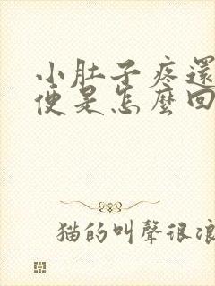 小肚子疼还想大便是怎么回事