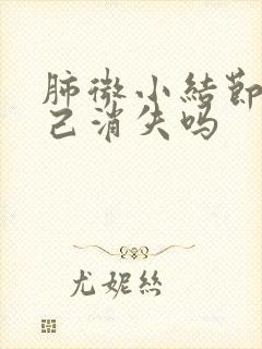 肺微小结节会自己消失吗