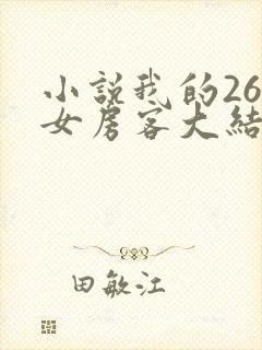 小说我的26岁女房客大结局