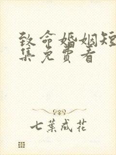 致命婚姻短剧全集免费看