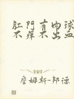 肛门有肉球不痛不痒不出血