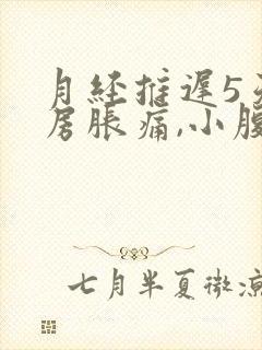 月经推迟5天乳房胀痛,小腹阵痛有分泌物