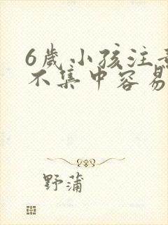 6岁小孩注意力不集中容易走神怎么办