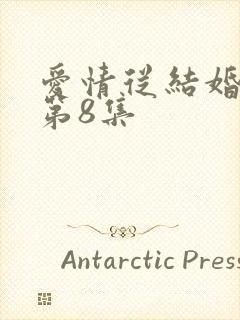 爱情从结婚开始第8集