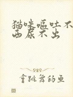 猫咪呕吐不吃东西尿不出